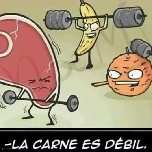 La carne es débil