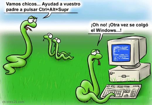 Computación de serpientes