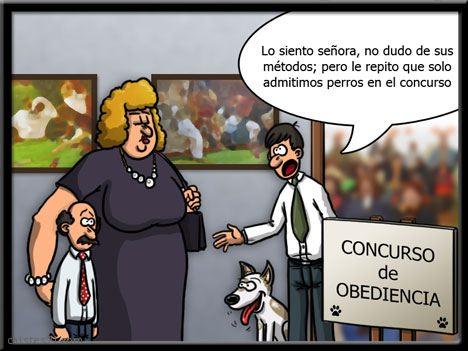 Concurso de obediencia