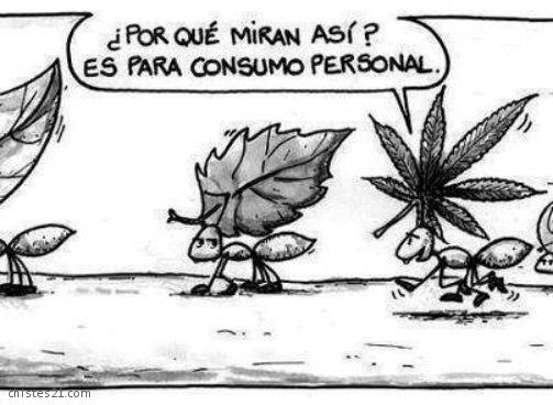 Consumo personal