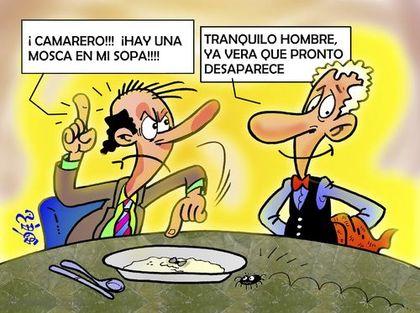 Mosca en la sopa