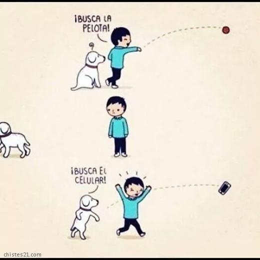 Inteligencia canina