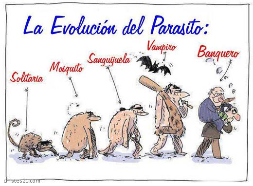 Evolución