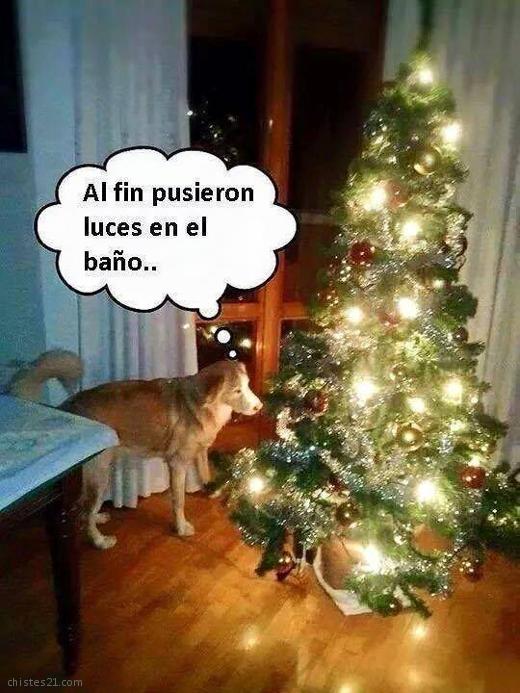 Luz en el baño