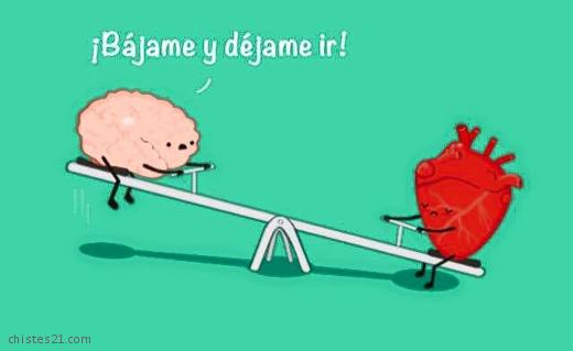 Corazón vs cerebro