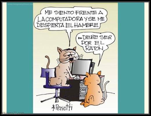 Gatos con hambre