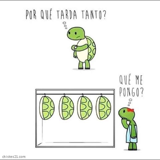 Por qué tarda tanto