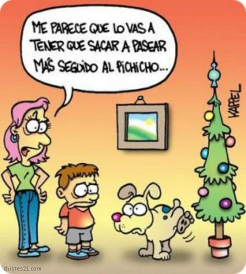 Los perros y el árbol navideño