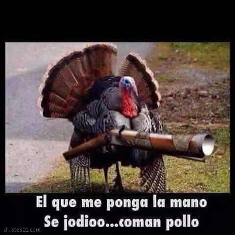 Comer pollo