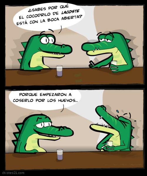 El cocodrilo de Lacoste