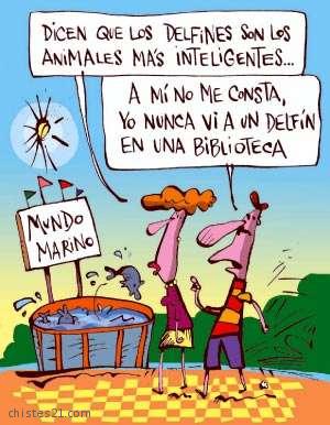 Los animales más inteligentes