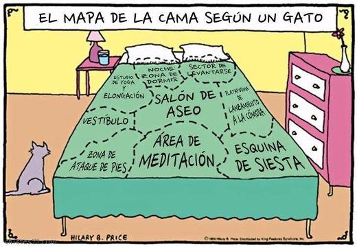 El mapa de la cama