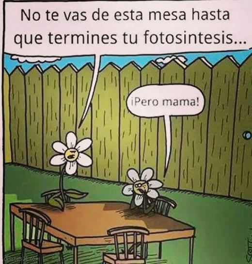 Mamá exigente