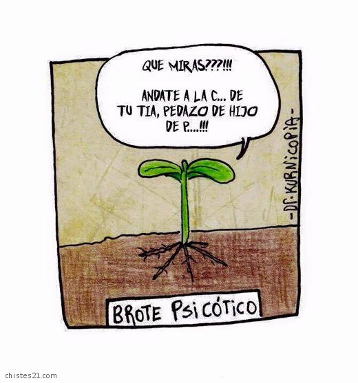 Brote psicótico