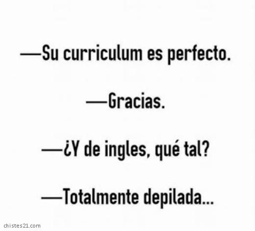 Curriculum perfecto