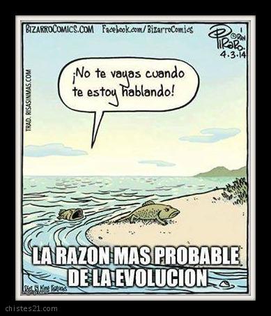 Evolución 