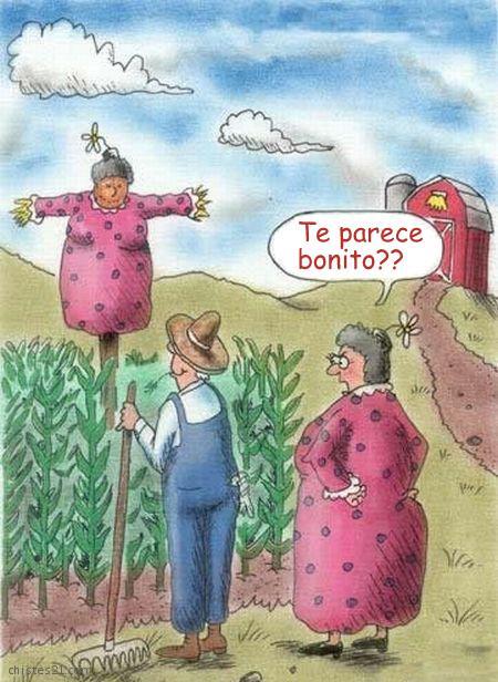 Resultado de imagen de chiste campo