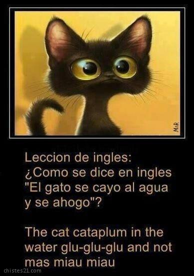 Lección de inglés