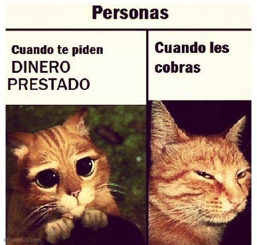 Mucha diferencia