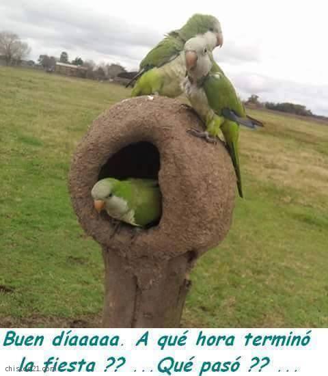 Un poco perdidos