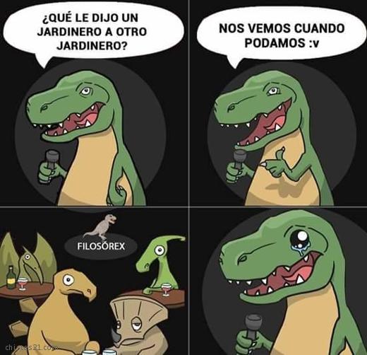 Un poco de humor