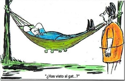 Y el gato