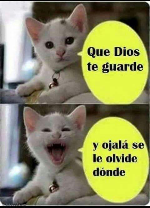 Que Dios te guarde