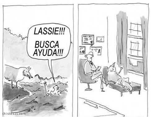 Busca ayuda 