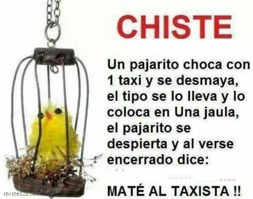 El pájaro y el taxista