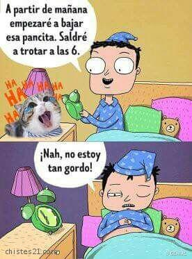 Pancita