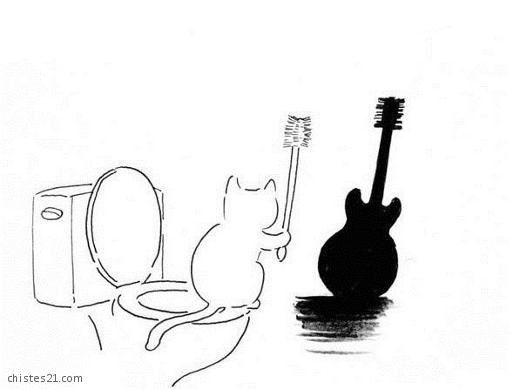 Gato con guitarra