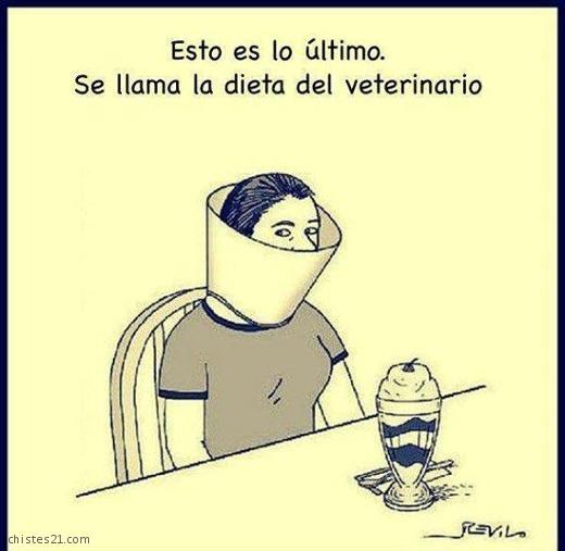 Dieta veterinaria