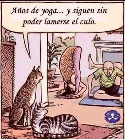 Años de yoga