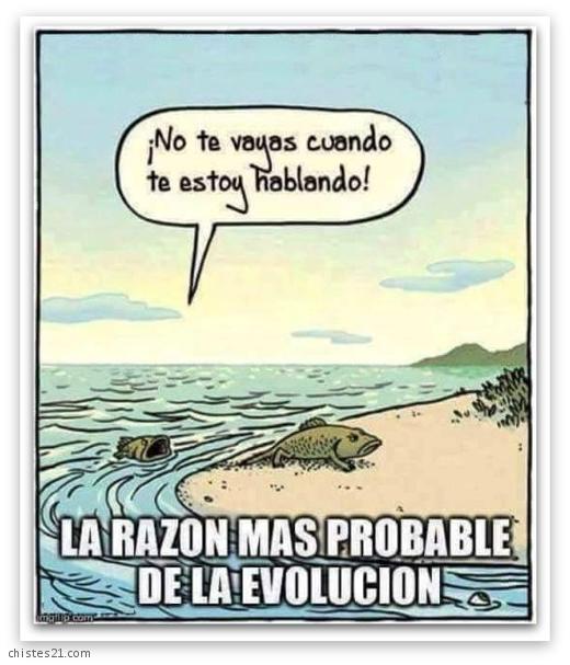 La evolución