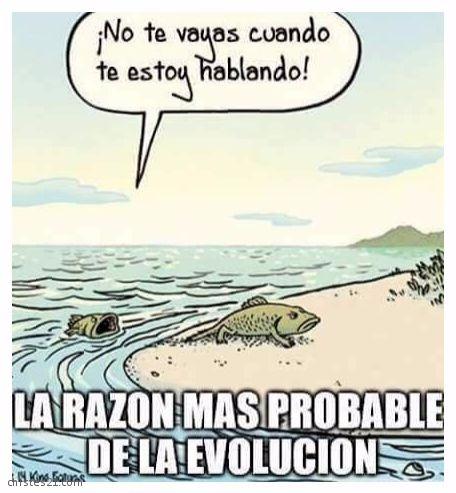 La evolución