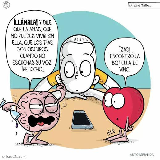 El corazón y el cerebro