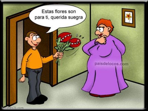 Flores para la suegra