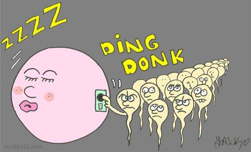 Ding dong
