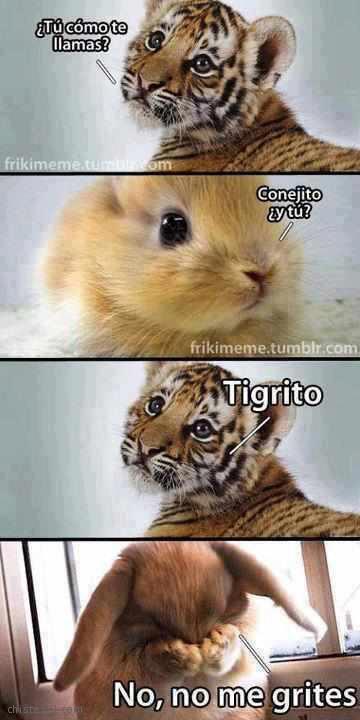 El tigre y el conejo