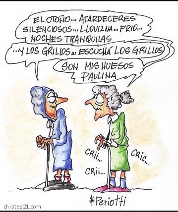 El canto de los grillos