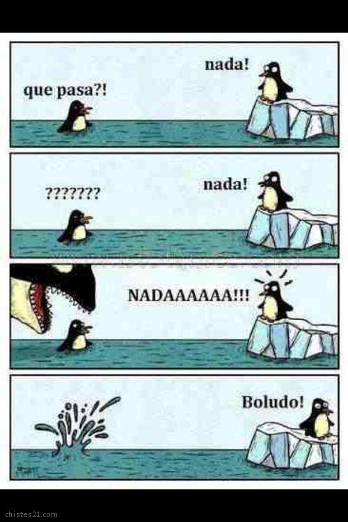 Pingüinos 