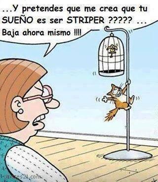 Striper 