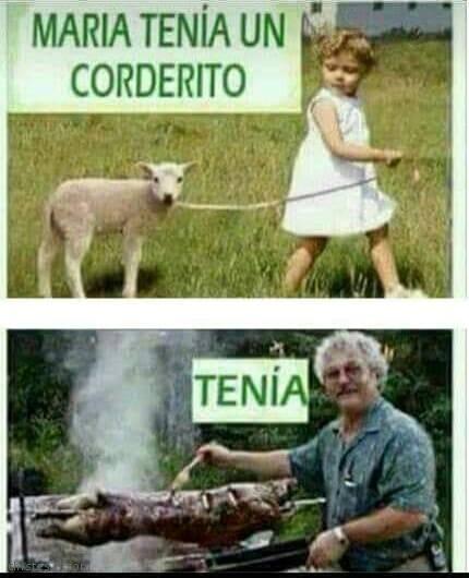 Corderito