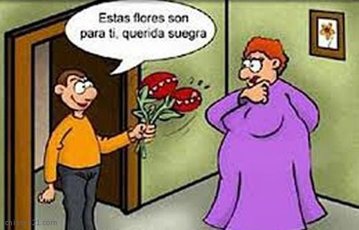 Flores para la suegra