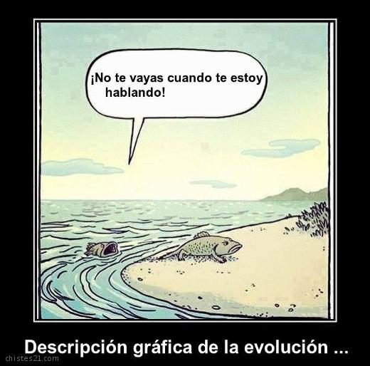 Evolución