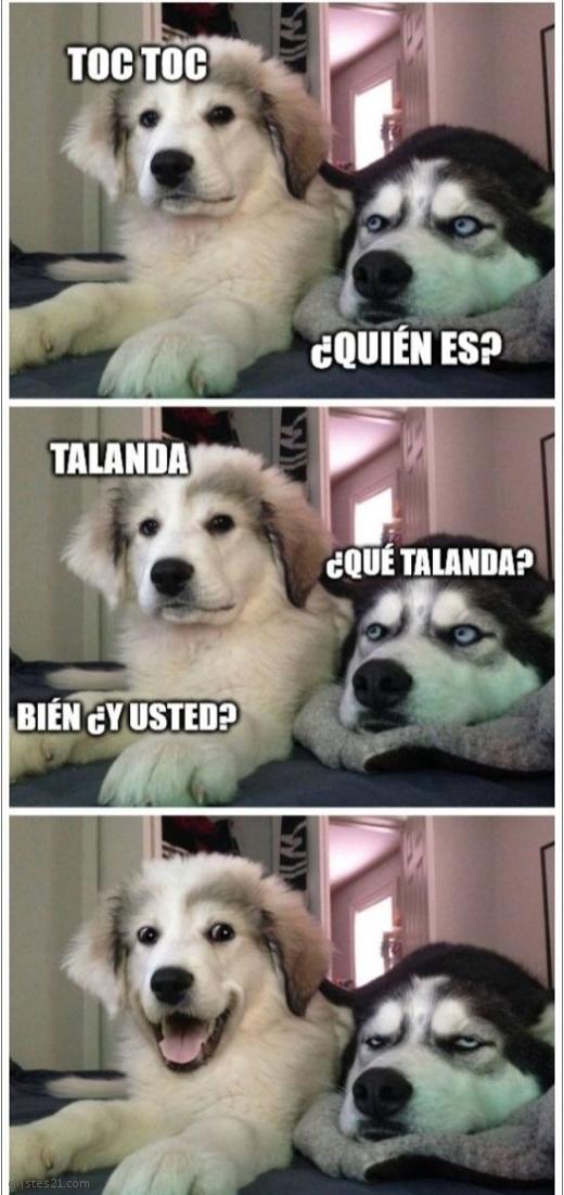 Buen chiste