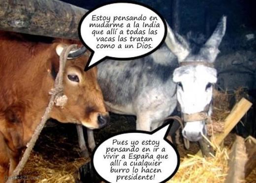 La vaca y el burro