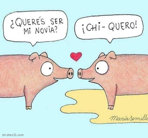 Declaración de amor