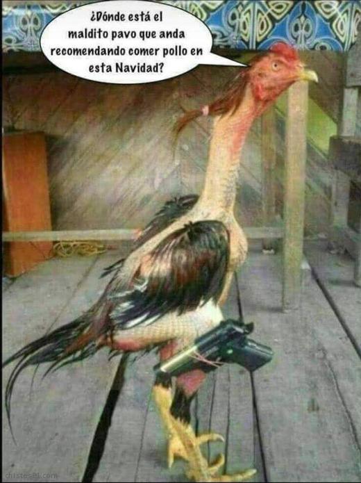 Buscando al pavo