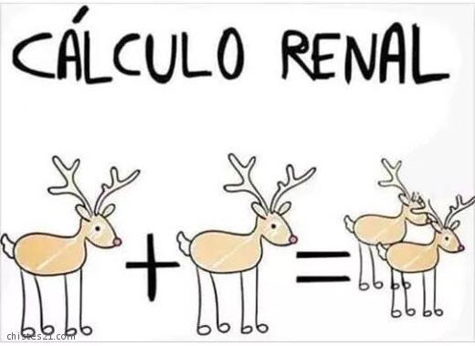 Cálculo renal